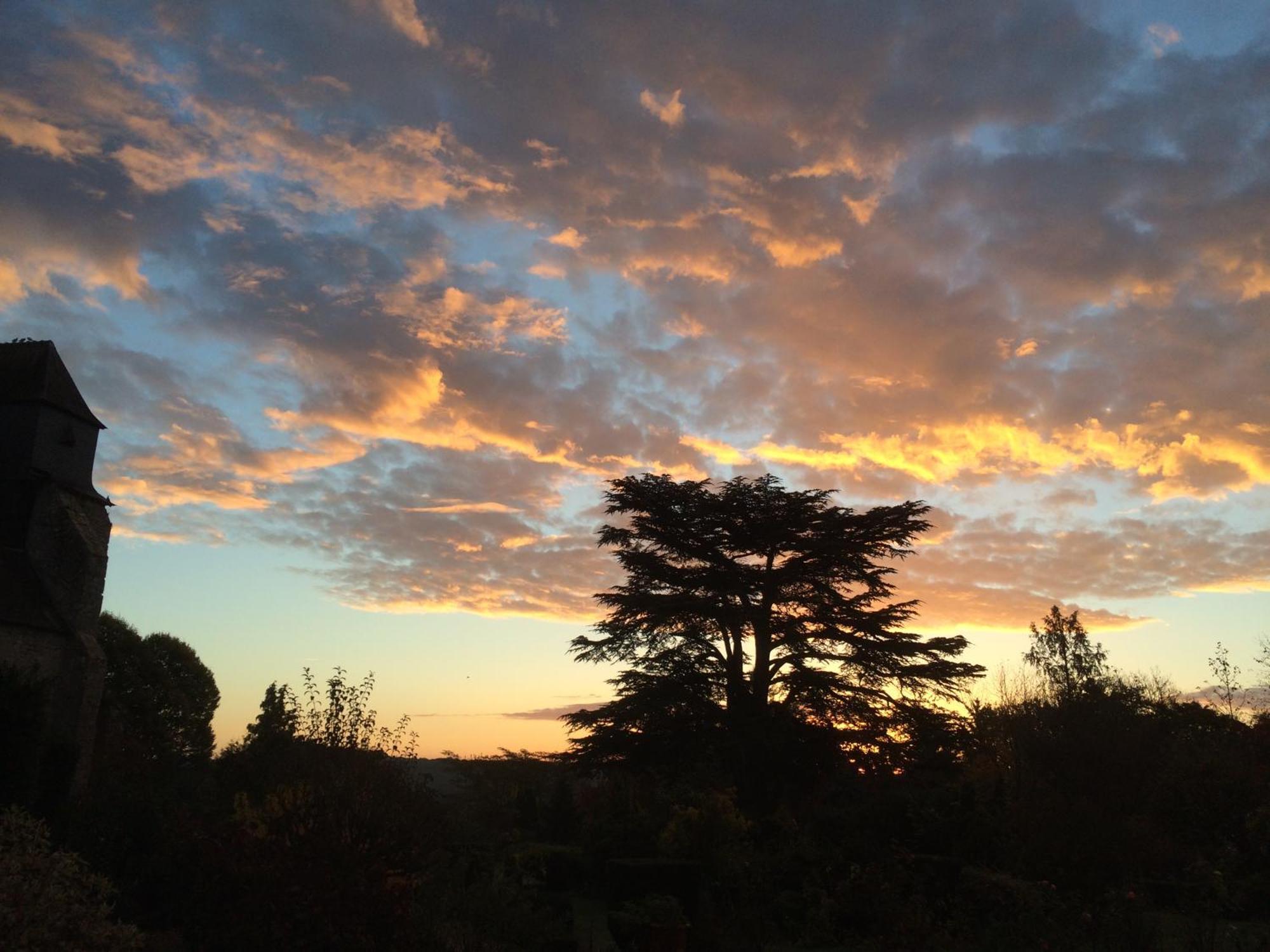 Le Prieure D'Orchaise Oda fotoğraf